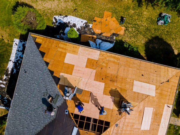 Best Storm Damage Roof Repair  in Emory, TX
